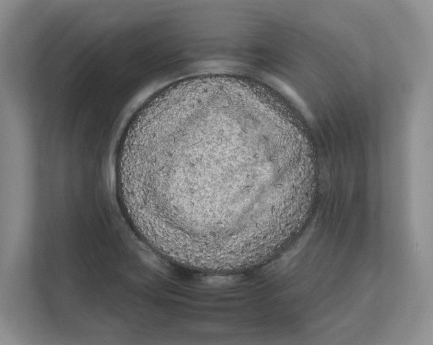 X0000111851419200908131430