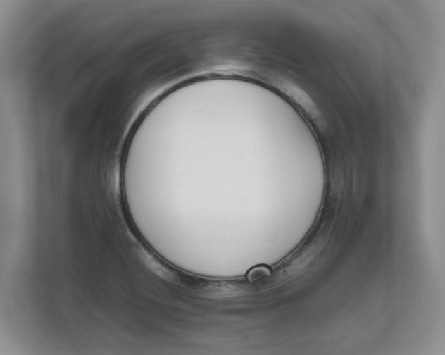 X0000111851420200908131430