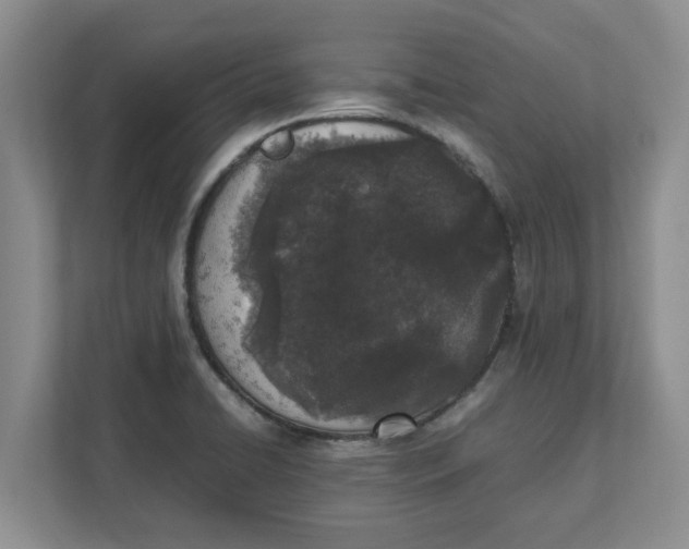 X0000111851422200908131430