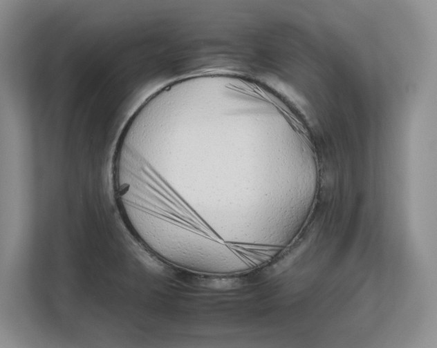 X0000111851423200908131430