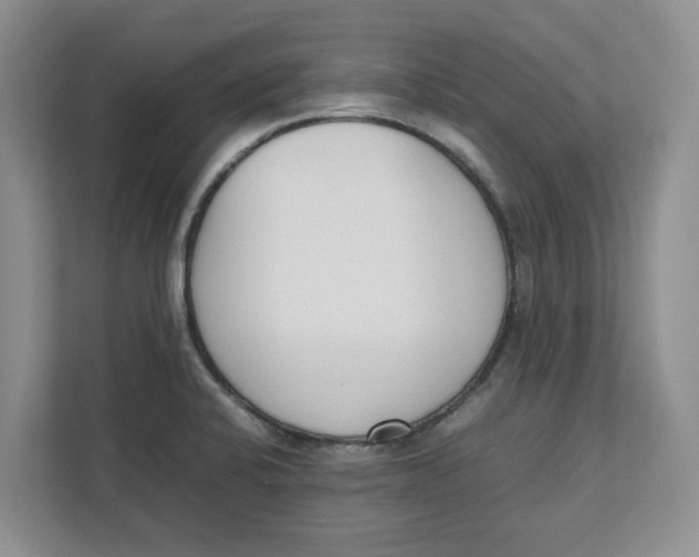 X0000111851424200908131430