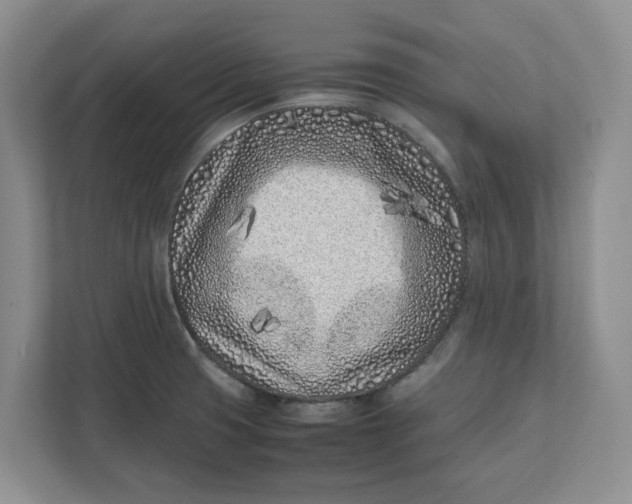 X0000111851425200908131430