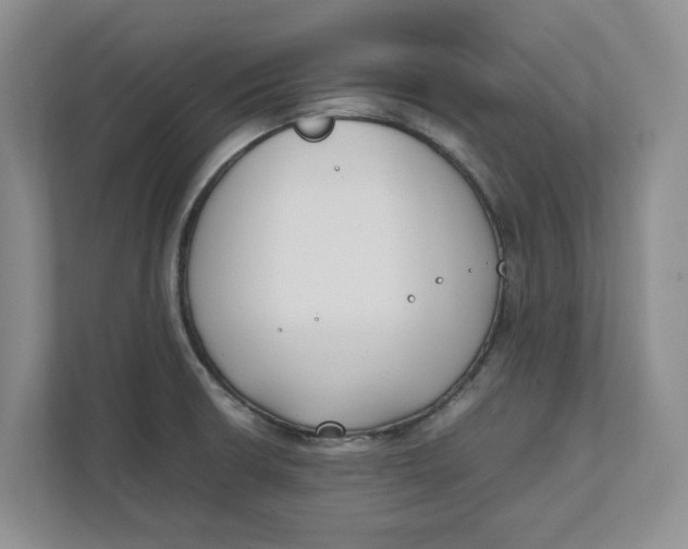 X0000111851426200908131430