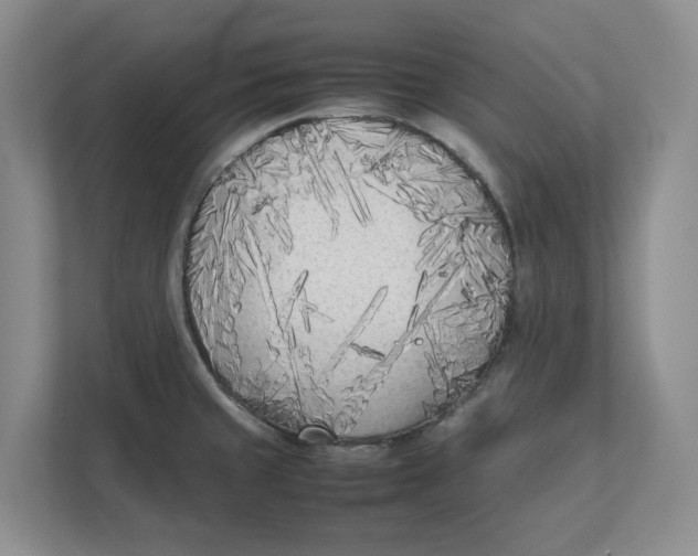 X0000111851429200908131430