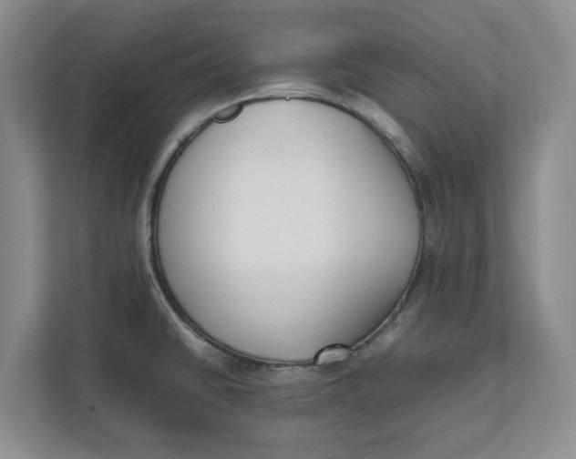 X0000111851430200908131430