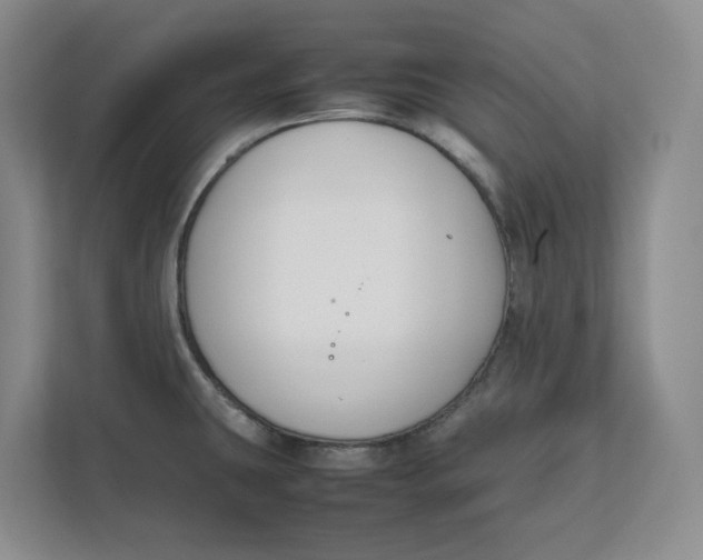 X0000111851431200908131430