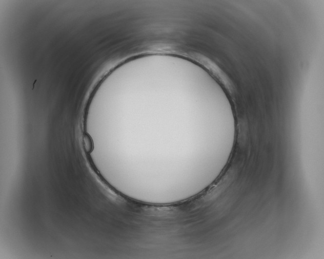 X0000111851432200908131430