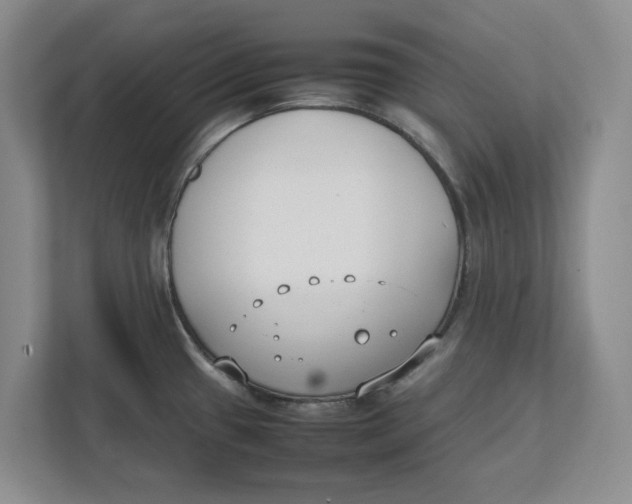 X0000111851433200908131430