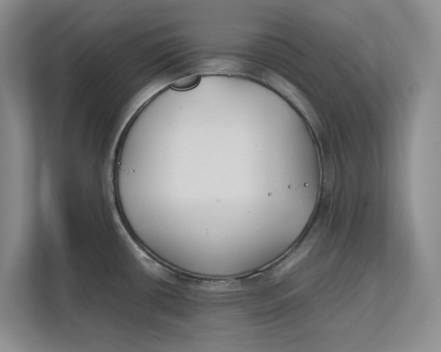 X0000111851434200908131430