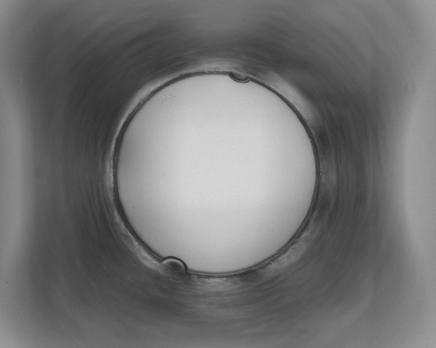 X0000111851436200908131430