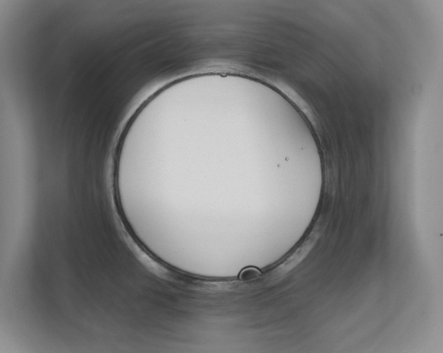 X0000111851438200908131430