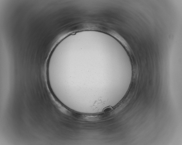 X0000111851439200908131430