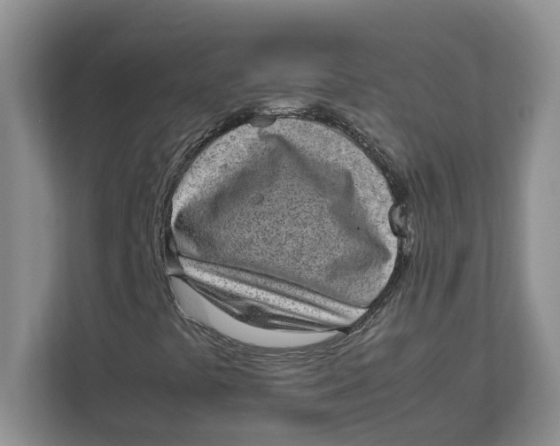 X0000111851441200908131429