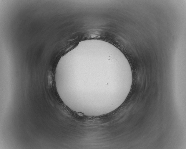 X0000111851442200908131429