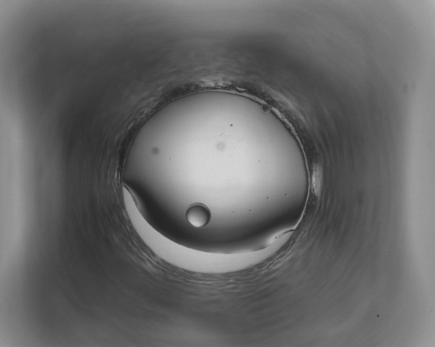 X0000111851444200908131429