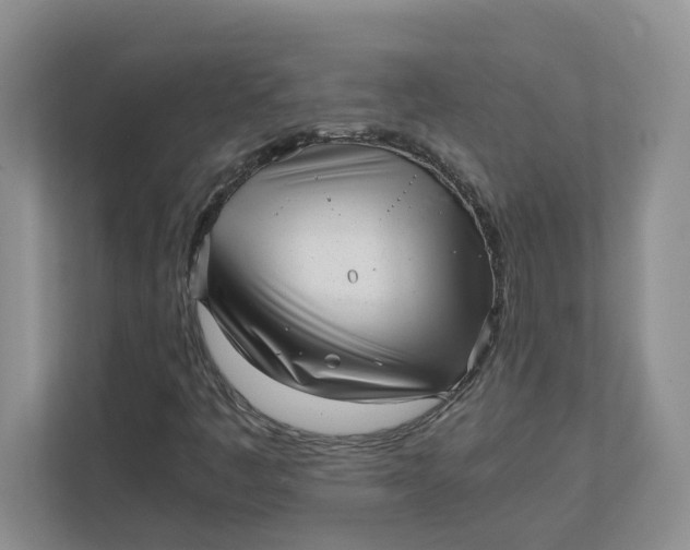 X0000111851445200908131429