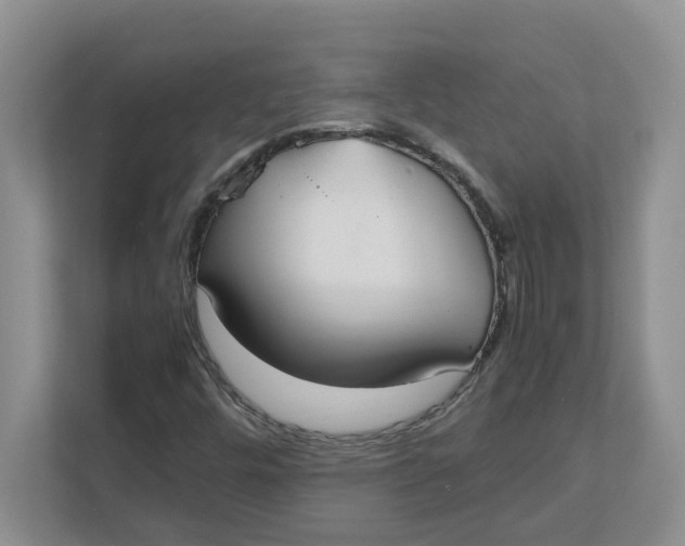 X0000111851448200908131429