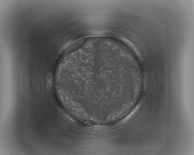 X0000111851449200908131429