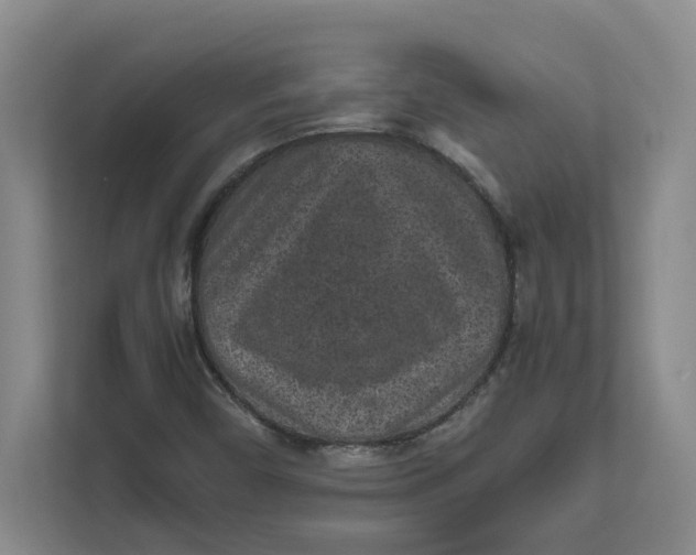 X0000111851450200908131429