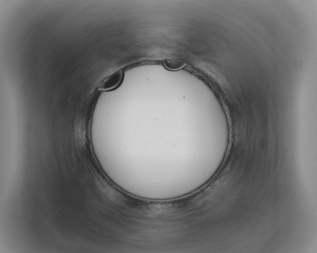 X0000111851451200908131429