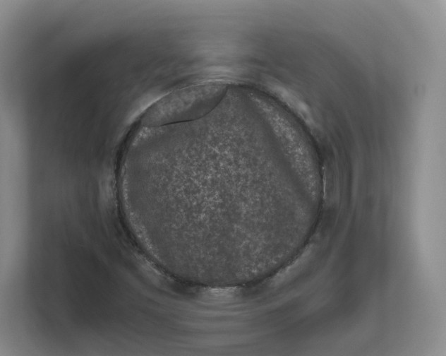 X0000111851453200908131429