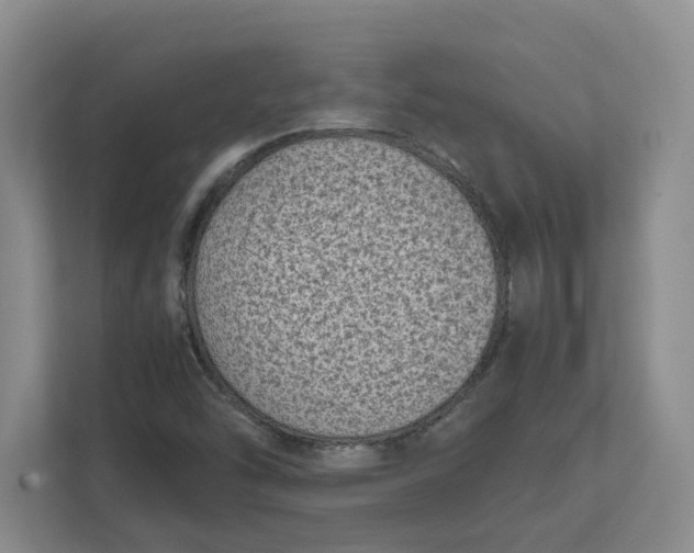 X0000111851454200908131429