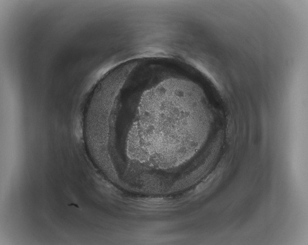 X0000111851455200908131429