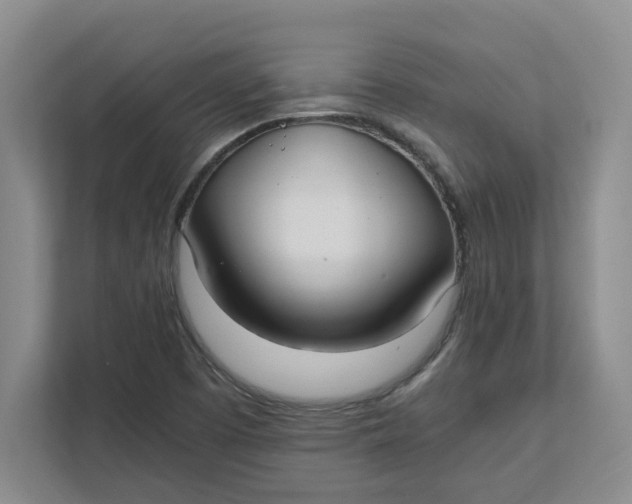 X0000111851457200908131429