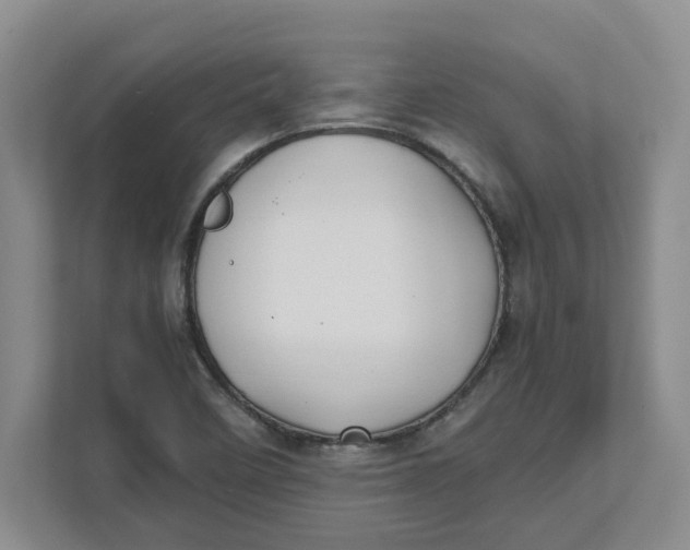 X0000111851458200908131429