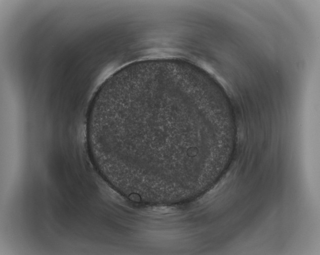 X0000111851459200908131429