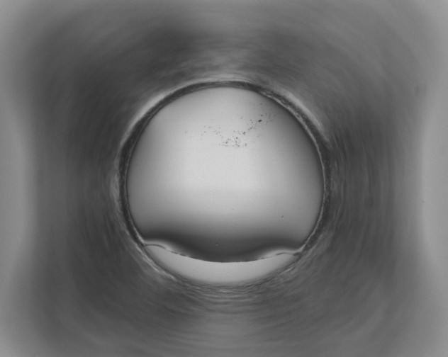 X0000111851460200908131429