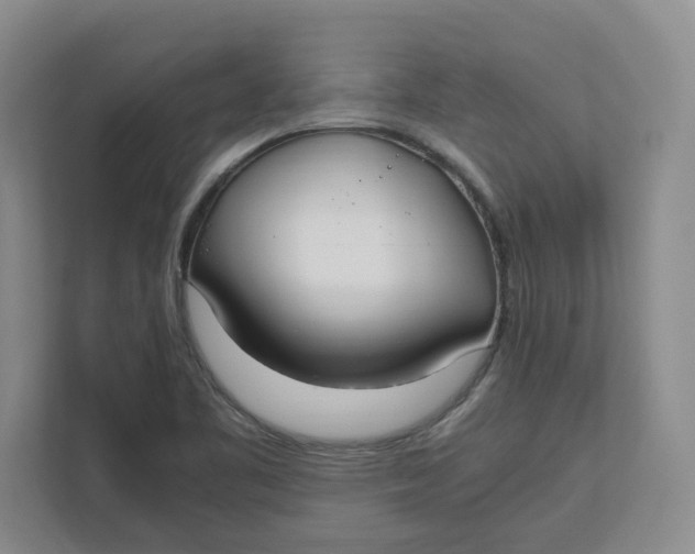 X0000111851461200908131429