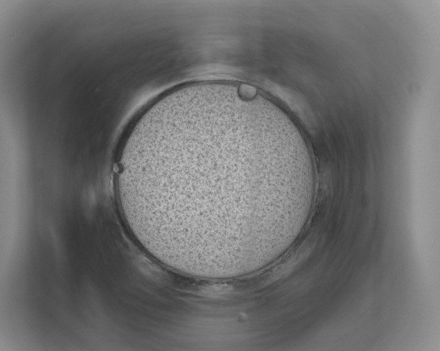 X0000111851462200908131429