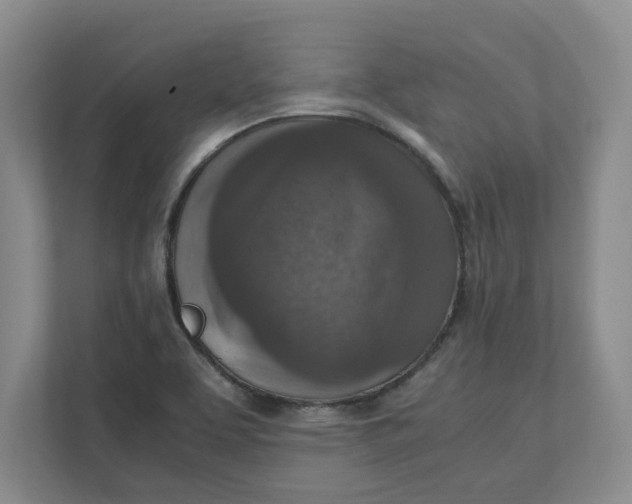 X0000111851463200908131429