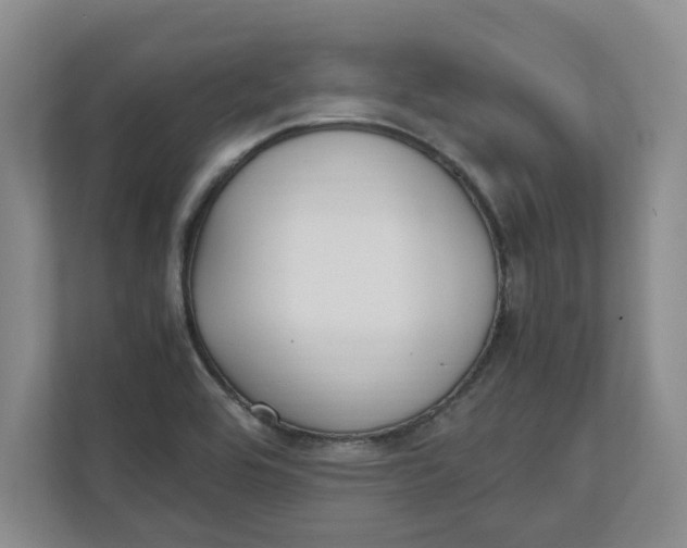 X0000111851464200908131429