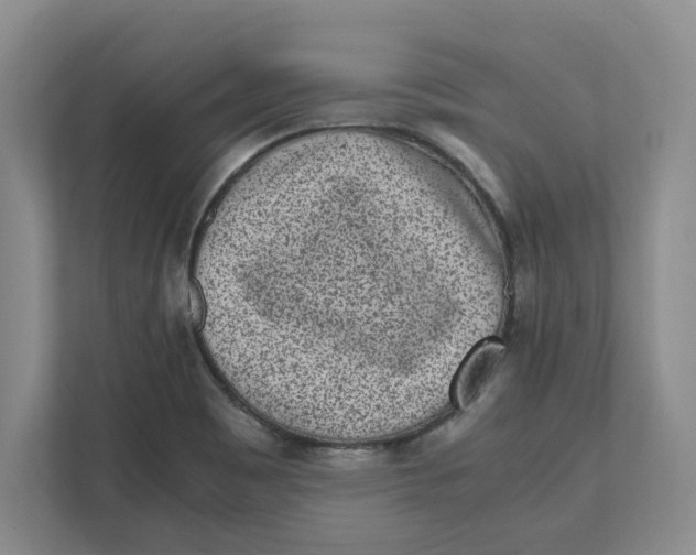 X0000111851465200908131429