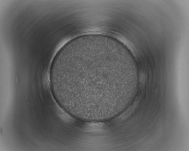 X0000111851466200908131429