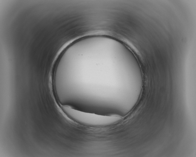 X0000111851468200908131429