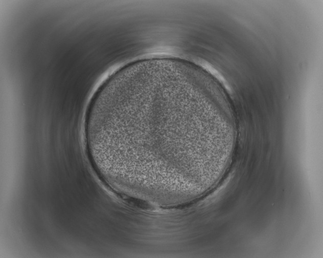 X0000111851469200908131429