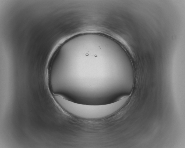 X0000111851472200908131429