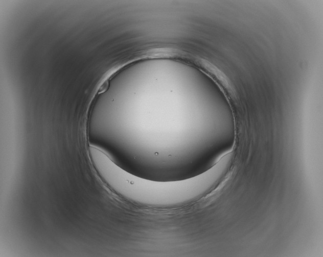 X0000111851473200908131429