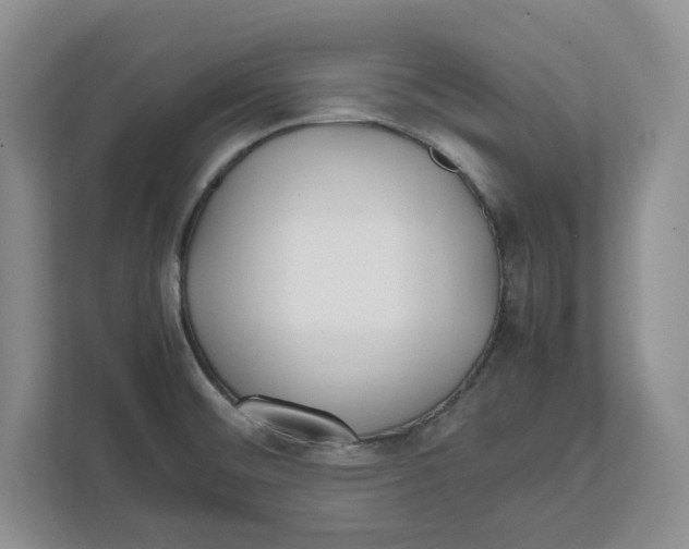 X0000111851476200908131429