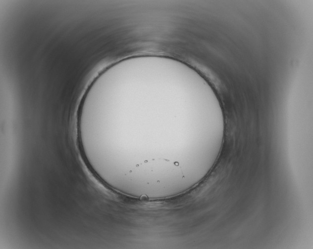 X0000111851479200908131429