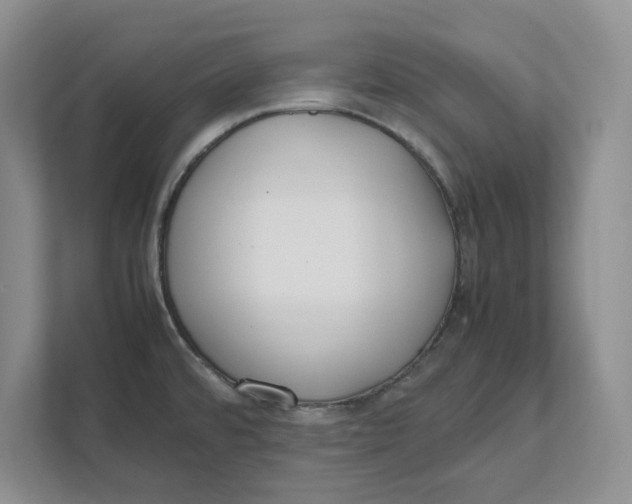 X0000111851480200908131429