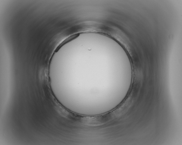 X0000111851481200908131429