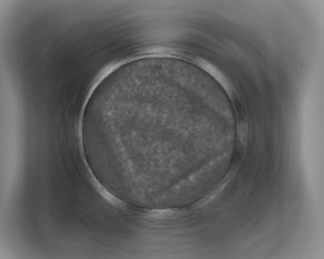 X0000111851482200908131429