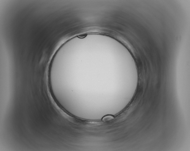 X0000111851483200908131429