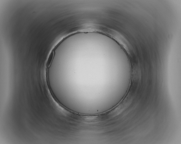 X0000111851484200908131429