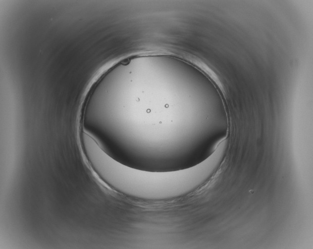 X0000111851485200908131429