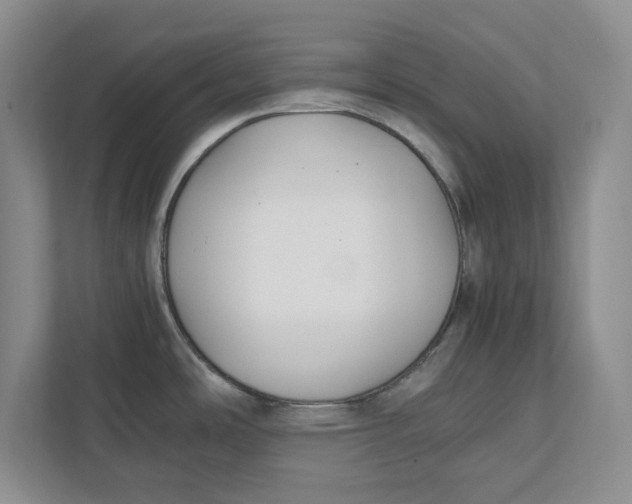 X0000111851486200908131429